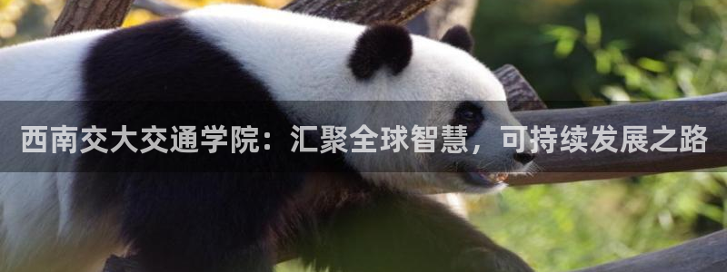 门徒娱乐官网下载手机版
